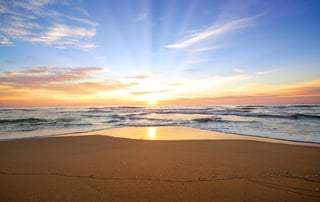 Beach landscape