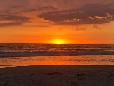 Beach sunset