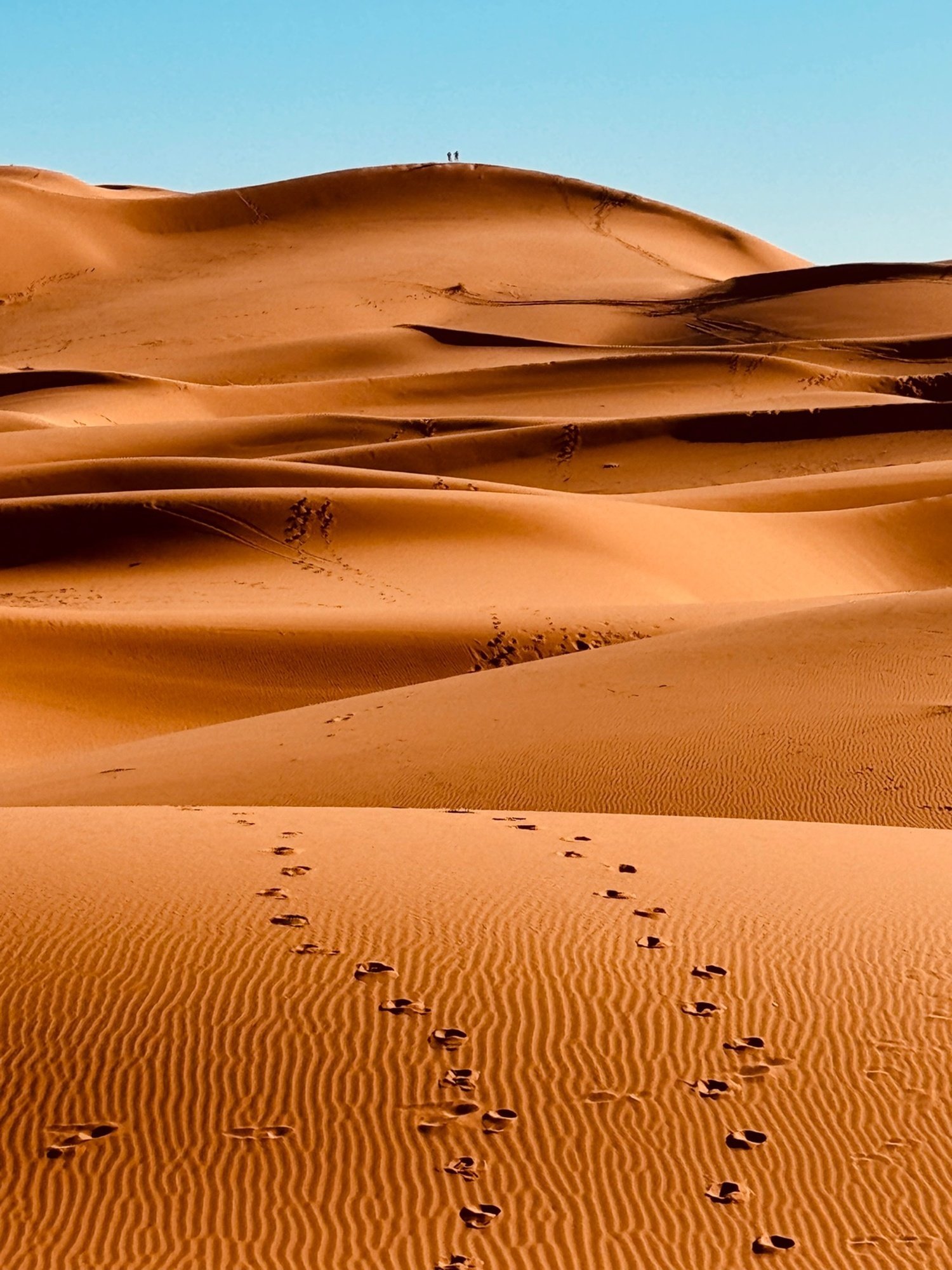 Tunisia Sahara desert